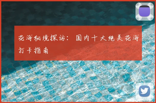 花海秘境探访：国内十大绝美花海打卡指南