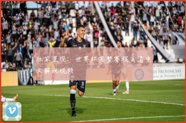 独家呈现：世界杯完整赛程高清中文解说视频